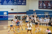 Volleyball: Franklin at West Henderson (BR3_5101)