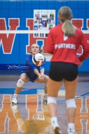 Volleyball: JV Franklin at West Henderson (BR3_2473)