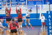 Volleyball: JV Franklin at West Henderson (BR3_2482)