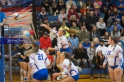 Volleyball: JV Franklin at West Henderson (BR3_2616)