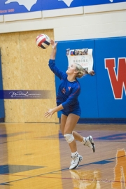 Volleyball: JV Franklin at West Henderson (BR3_2637)