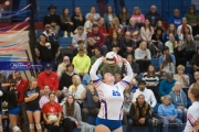 Volleyball: JV Franklin at West Henderson (BR3_2800)