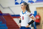 Volleyball: Forestview at West Henderson (BR3_8780)