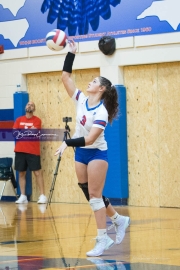 Volleyball: Forestview at West Henderson (BR3_8929)