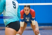 Volleyball: Forestview at West Henderson (BR3_8968)