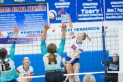 Volleyball: Forestview at West Henderson (BR3_8986)