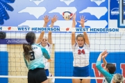 Volleyball: Forestview at West Henderson (BR3_9053)