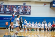 Volleyball: Forestview at West Henderson (BR3_9147)