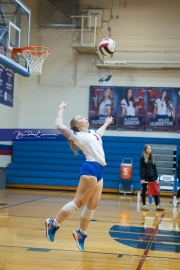 Volleyball: Forestview at West Henderson (BR3_9165)