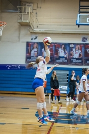 Volleyball: Forestview at West Henderson (BR3_9170)