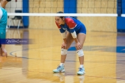 Volleyball: Forestview at West Henderson (BR3_9319)