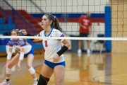 Volleyball: Forestview at West Henderson (BR3_9325)