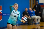 Volleyball: Forestview at West Henderson (BR3_9326)