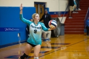 Volleyball: Forestview at West Henderson (BR3_9332)