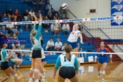 Volleyball: Forestview at West Henderson (BR3_9342)