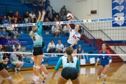 Volleyball: Forestview at West Henderson (BR3_9345)