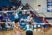 Volleyball: Forestview at West Henderson (BR3_9350)