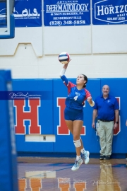 Volleyball: Forestview at West Henderson (BR3_9359)