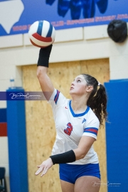 Volleyball: Forestview at West Henderson (BR3_9420)