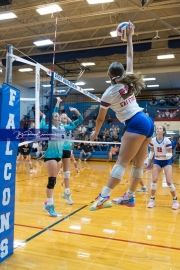 Volleyball: Forestview at West Henderson (BR3_9525)