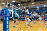 Volleyball: Forestview at West Henderson (BR3_9555)