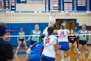 Volleyball: Forestview at West Henderson (BR3_9615)