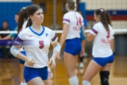 Volleyball: Forestview at West Henderson (BR3_9650)