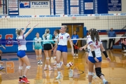 Volleyball: Forestview at West Henderson (BR3_9743)