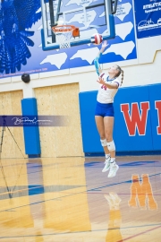 Volleyball: West Rowan at West Henderson (BR3_0466)