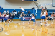 Volleyball: Carson at West Henderson Rd 4 (BR3_4555)