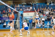 Volleyball: Carson at West Henderson Rd 4 (BR3_4605)