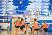 Volleyball: Carson at West Henderson Rd 4 (BR3_4692)