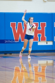 Volleyball: Carson at West Henderson Rd 4 (BR3_4787)