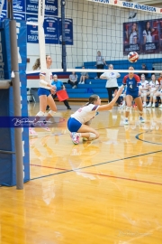 Volleyball: Carson at West Henderson Rd 4 (BR3_4846)