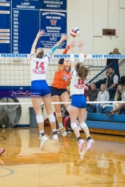 Volleyball: Carson at West Henderson Rd 4 (BR3_4963)