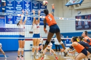 Volleyball: Carson at West Henderson Rd 4 (BR3_5154)