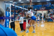 Volleyball - West Henderson Regional Finals (BR3_5791)