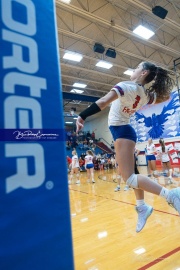 Volleyball - West Henderson Regional Finals (BR3_5824)