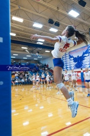 Volleyball - West Henderson Regional Finals (BR3_5842)