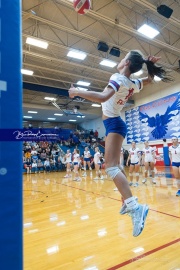 Volleyball - West Henderson Regional Finals (BR3_5843)