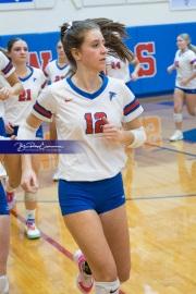 Volleyball - West Henderson Regional Finals (BR3_5969)