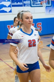 Volleyball - West Henderson Regional Finals (BR3_5982)