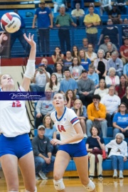 Volleyball - West Henderson Regional Finals (BR3_6138)