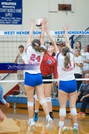 Volleyball - West Henderson Regional Finals (BR3_6188)