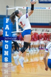 Volleyball - West Henderson Regional Finals (BR3_6299)