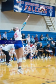 Volleyball - West Henderson Regional Finals (BR3_6314)