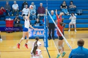 Volleyball - West Henderson Regional Finals (BR3_6826)