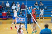 Volleyball - West Henderson Regional Finals (BR3_6827)