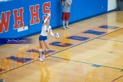 Volleyball - West Henderson Regional Finals (BR3_6976)