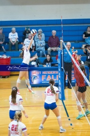 Volleyball - West Henderson Regional Finals (BR3_6994)